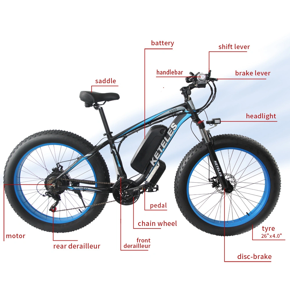 Electric Bike 36V 250W 48V 500W Fat Tire E-Scooter for Adult