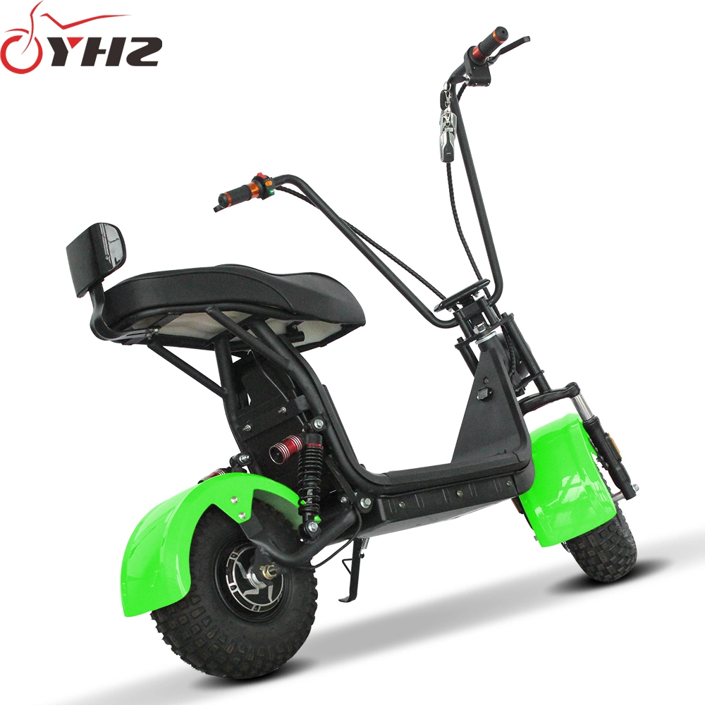 Smart 800W 48V Electric Bicycle Adult Scooter CE Approved with off-Road Tire