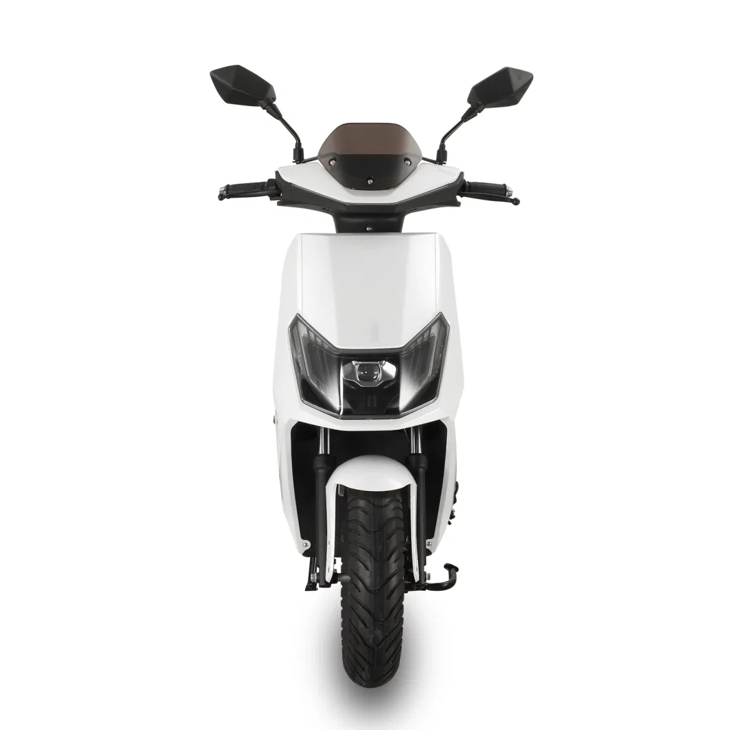 Hot Sale Miami Motorcycle Adult Motor Scooters for Rental Electric Bicycles