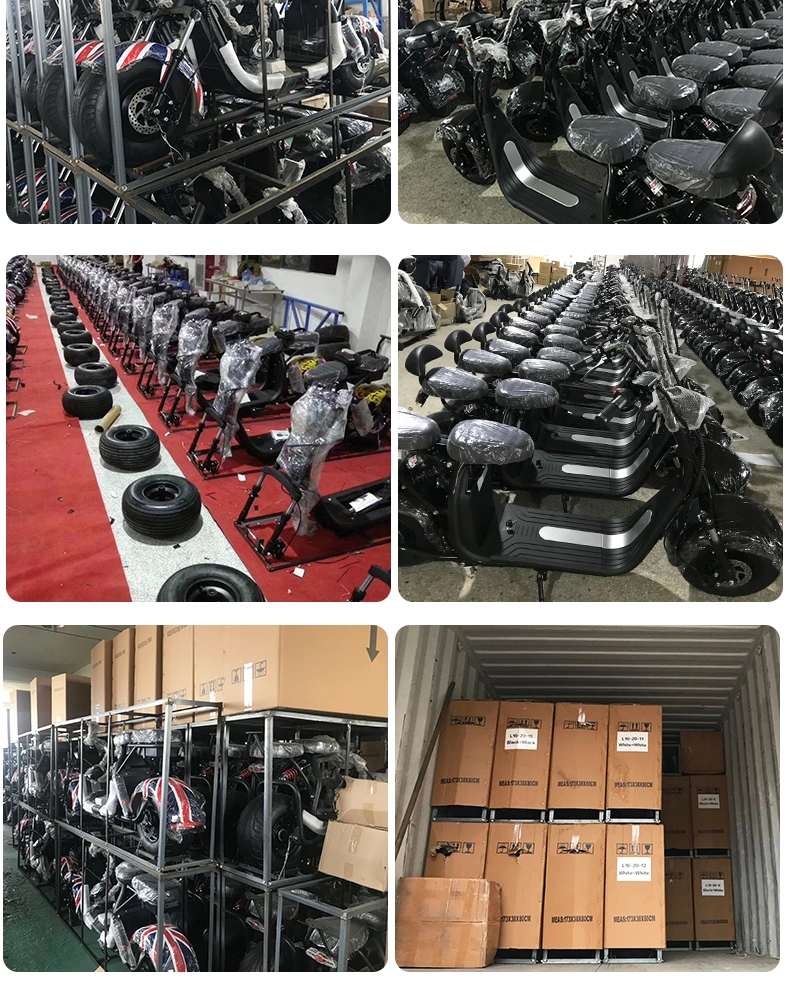 EEC Coc Approved 1500W 2000W Powerful Motorcycle Electric Citycoco 3000W Fat Tire Scooters for Adult Electric Bike Chopper