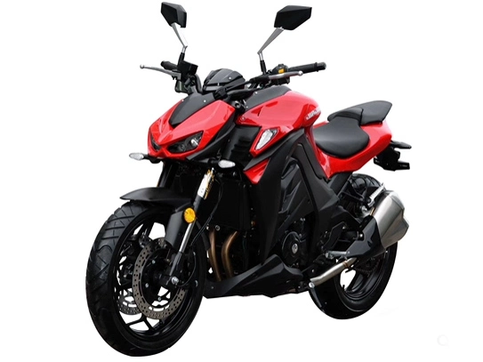 Street Motorcycle 200cc 250cc 400cc Gasoline Motorbike N19 Rzm250n-3 with Top Quality Motorbike Racing Motorcycle