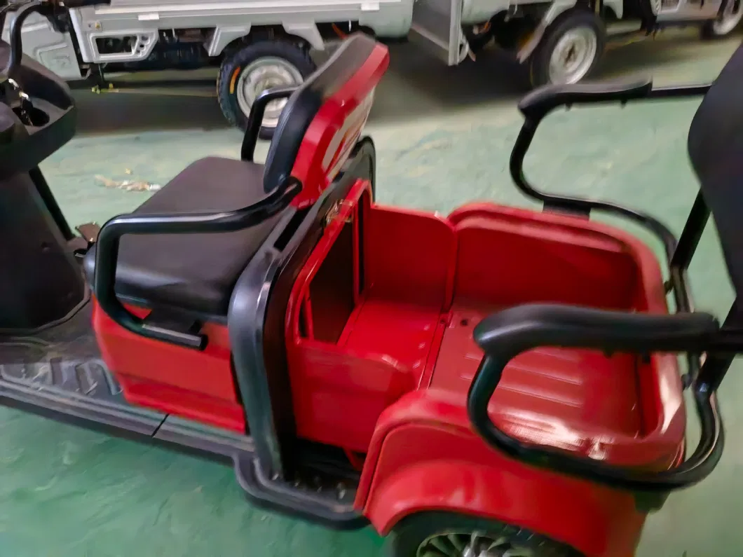 Qiangsheng Adult 3 Wheel Motorized Passenger Electric Tricycles Popular in Philippines