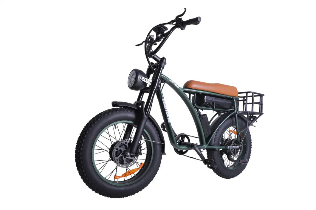 1000W Electric Mountain Ebike 48V 18.2ah Removable Battery 20&prime;&prime; Fat Tire Bicycle E Bike