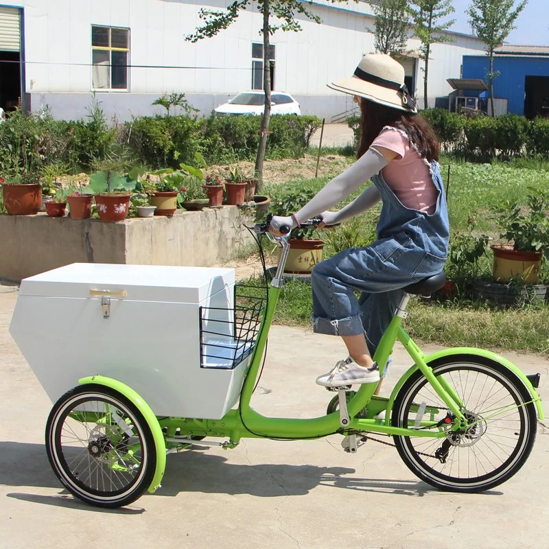 White Color Adult Tricycle Electric Mobile Cargo Bike Shopping Cart with Stainless Steel Box Loaded Customizable
