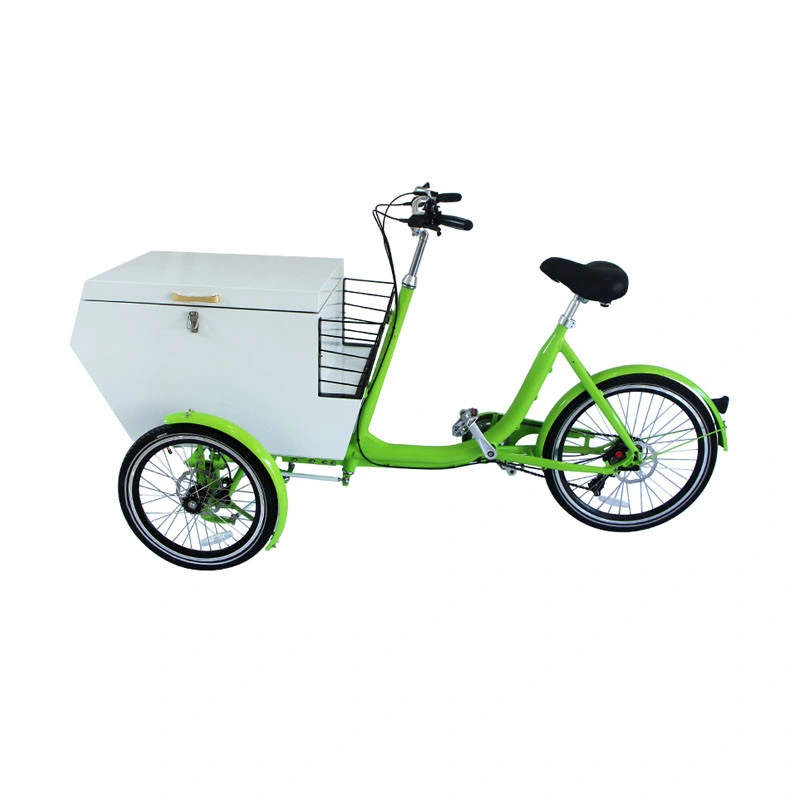 White Color Adult Tricycle Electric Mobile Cargo Bike Shopping Cart with Stainless Steel Box Loaded Customizable