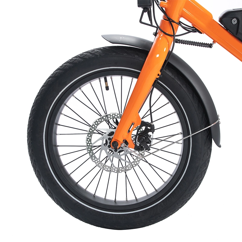 Long Range Dual Battery Dual Motor City Bike E Bike Delivery Bike