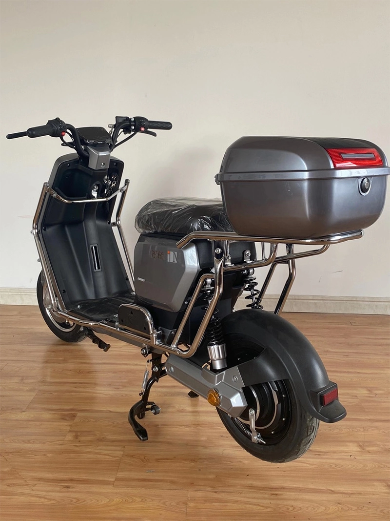 48V 500W Two Wheelers Pedal Assistant Electric Motorcycle Has Box and with Bumper