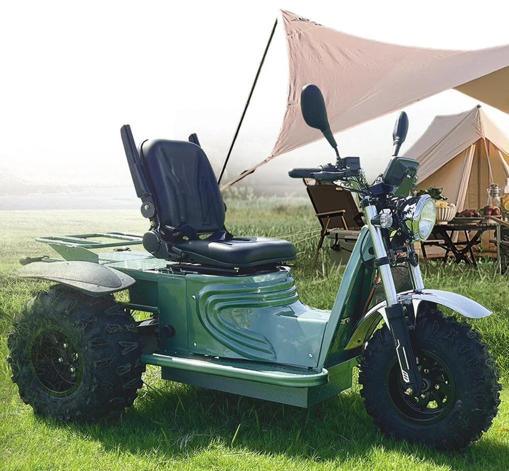 off Road 3 Wheel Electric Mobility Scooter with CE