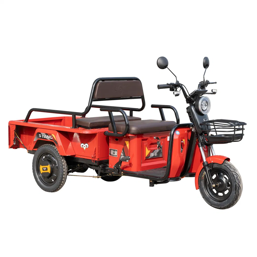 Electric Cargo Tricycle 1000W Electric Trike