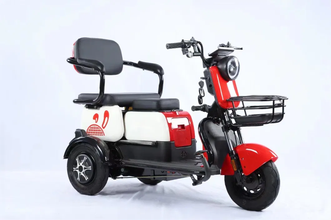 Bespoke New Adult Electric Passenger, Cargo, Three Wheels, Richshaw, Motor, Petrol, Motorized, Electric Trike, Vehicle, Bicycle, Motorbike, Tricycle