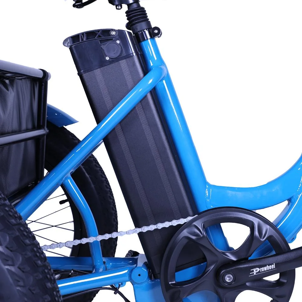 Cargo Electric Bike 500W Hub Motor 48V 13ah Fatbike 4.0inch Electric Tricycle Bike