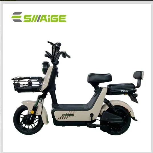 Saige Brand New Design Electric Bike for Canada and America Market