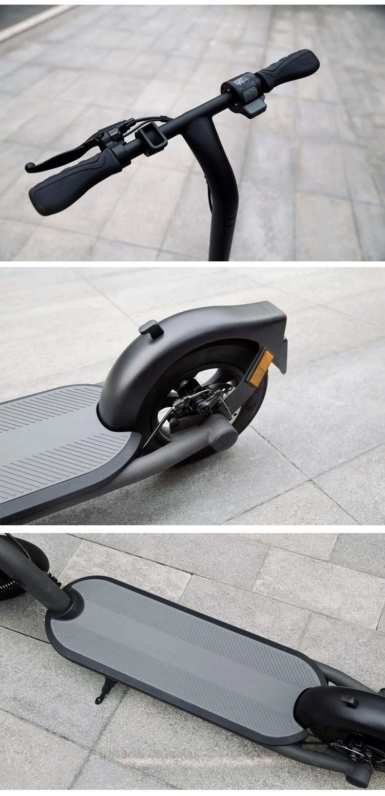 2023 250W 36V Folding E-Bike E Scooter Electric Scooter