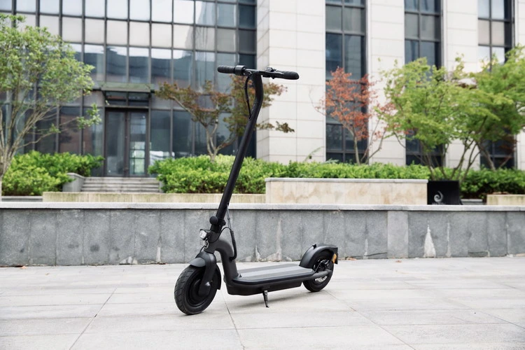 2023 250W 36V Folding E-Bike E Scooter Electric Scooter