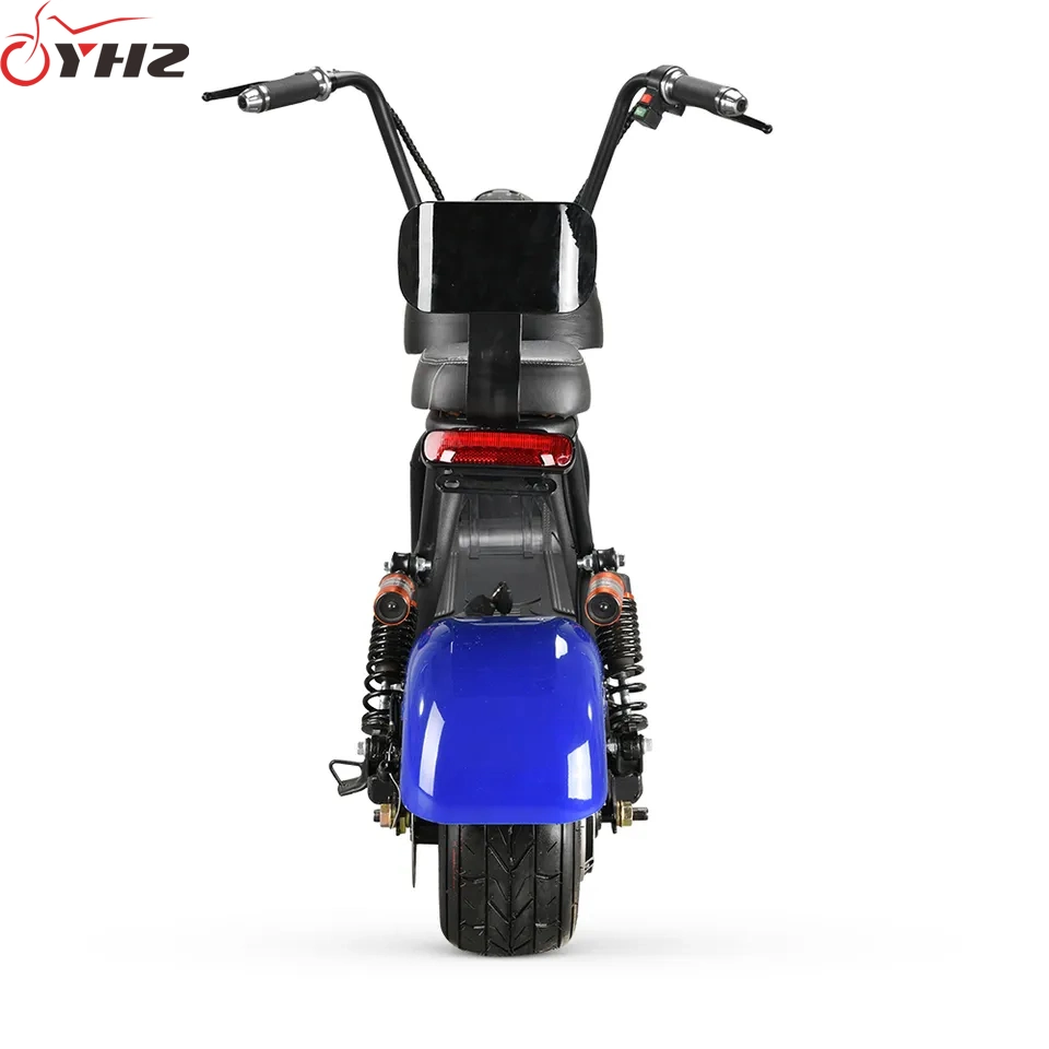 Mini Citycoco Electric Scooter 48V 800W Two Seat Ebike Small Motorcycle