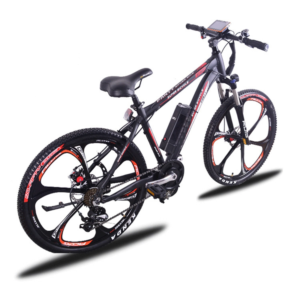 Buy Direct 1000W Beautiful Bicicletta Elettrica Electric Bicycle From China