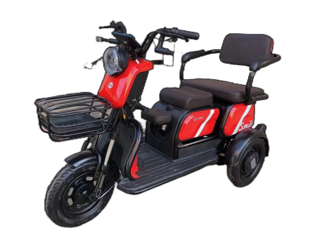 Fat Tire 3 Wheel 650W 60V 20ah Lead Acid Battery Motor Adult Powered Tricycles Powered Electric Trike for Elderly Leisure Passenger with Rear Box