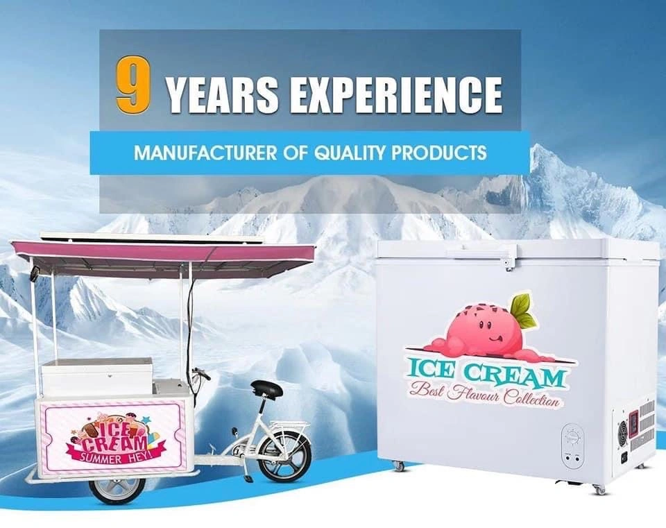 Electric Motorized Tricycle Solar Powered for Cold Drink and Donuts