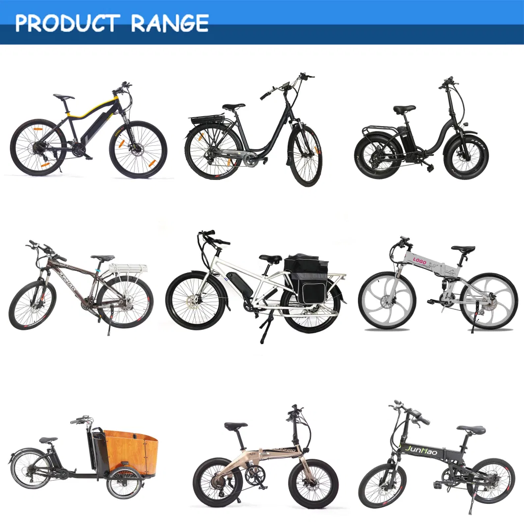 48V Step-Thru Frame Electric Bicycle with Aluminum Alloy Fat Tire