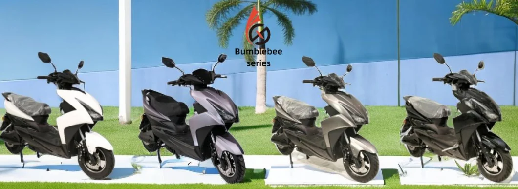 Hot Selling Electric Bicycle High-Quality Low-Price Motorcycle High Speed Importer Made in China