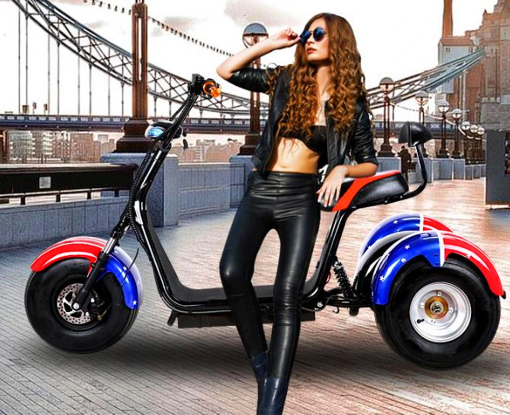 Hot Selling Adult Three Wheel Bicycle Lithium Battery 20ah Scooter Citycoco Electric