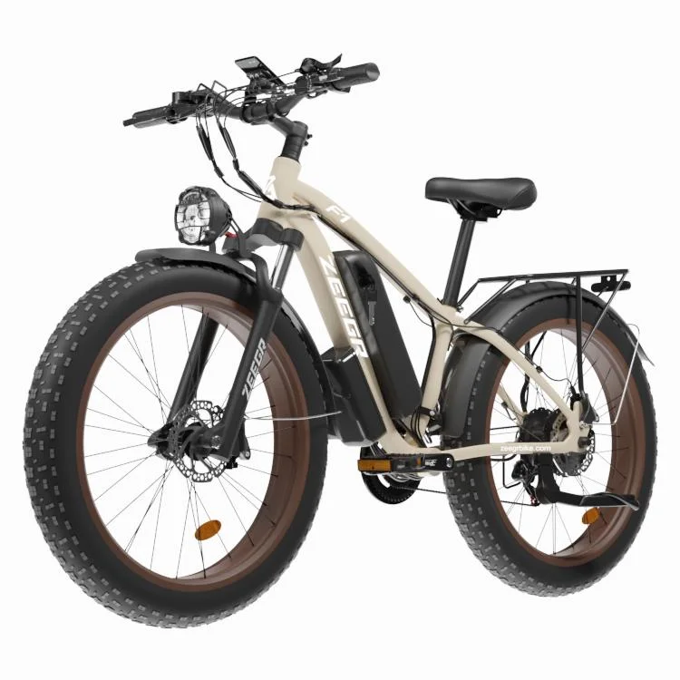 Men&prime;s and Women&prime;s Electric Bicycles Made in China Price Concessions Welcome to Buy