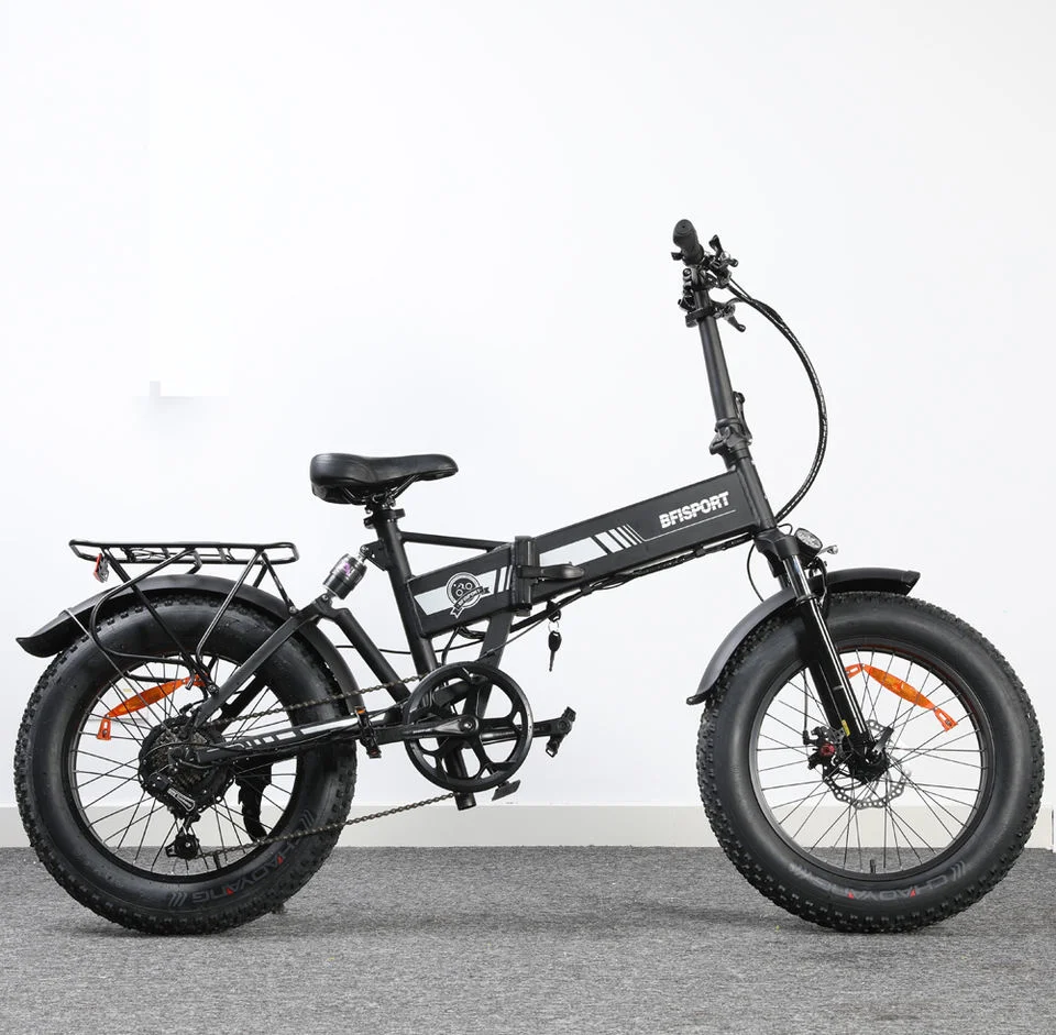 Men&prime;s and Women&prime;s Electric Bicycles Made in China Price Concessions Welcome to Buy