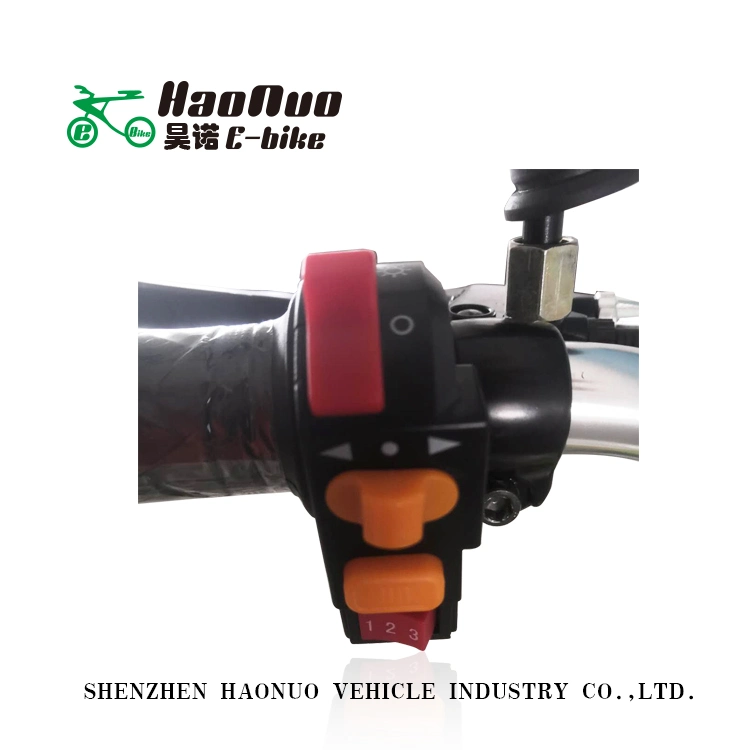 24 Inch 48V 500watt Gear Motor Chinese Cities Electric Bicycle for Sale