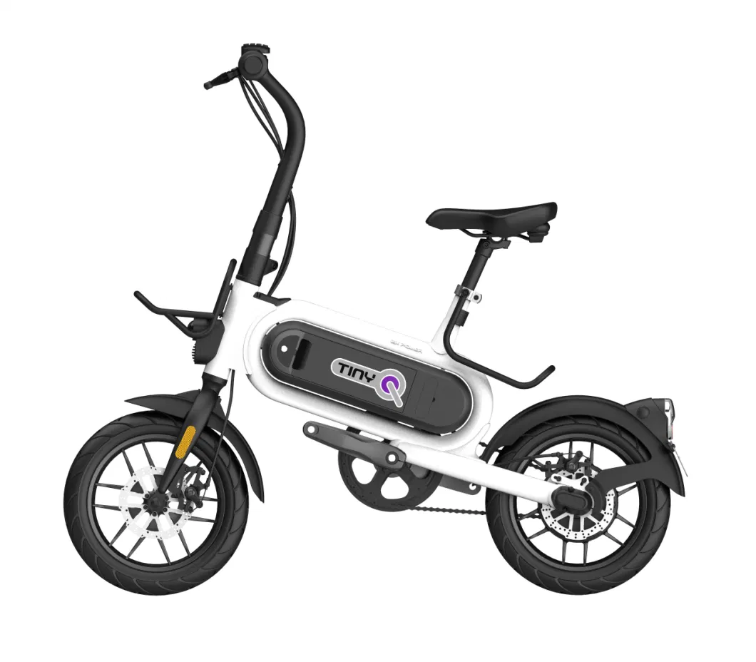 14-Inch ODM Aluminum Alloy One-Wheel 250W Portable Electric Power-Assisted Bicycle