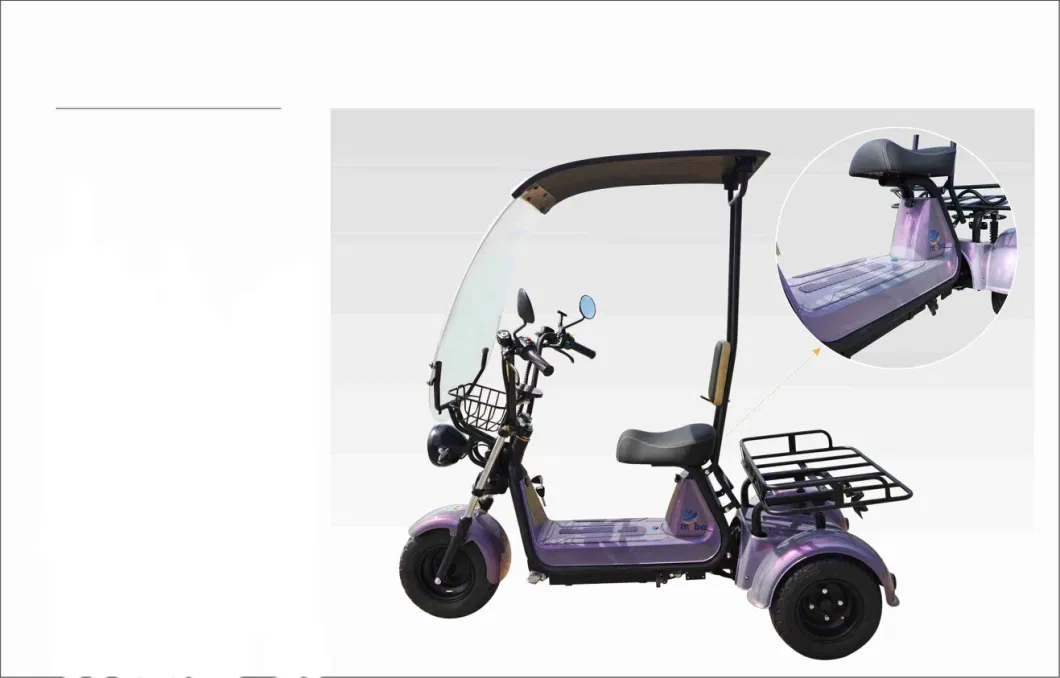 China New Style Three Wheel Mini Scooter Manned Electric Tricycle E Trike for Mobility-Impaire