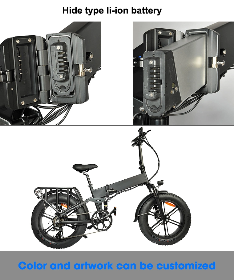 20 Inch 750W Folding Ebike Li-ion Battery Ebike Frame Electric Bike 48V 750W