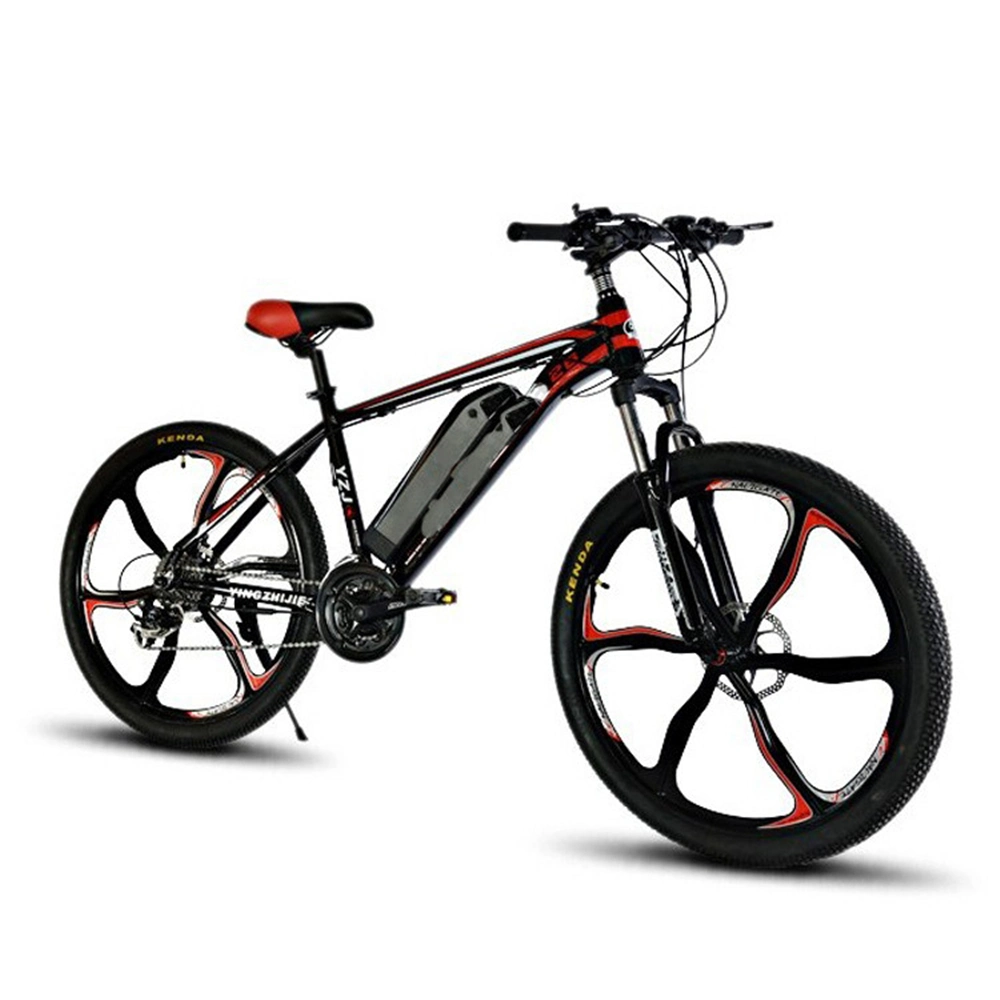 Buy Direct 1000W Beautiful Bicicletta Elettrica Electric Bicycle From China