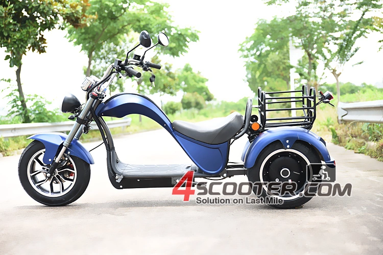 60V Adult Electric Chopper Motorcycle Scooter on 3 Wheels
