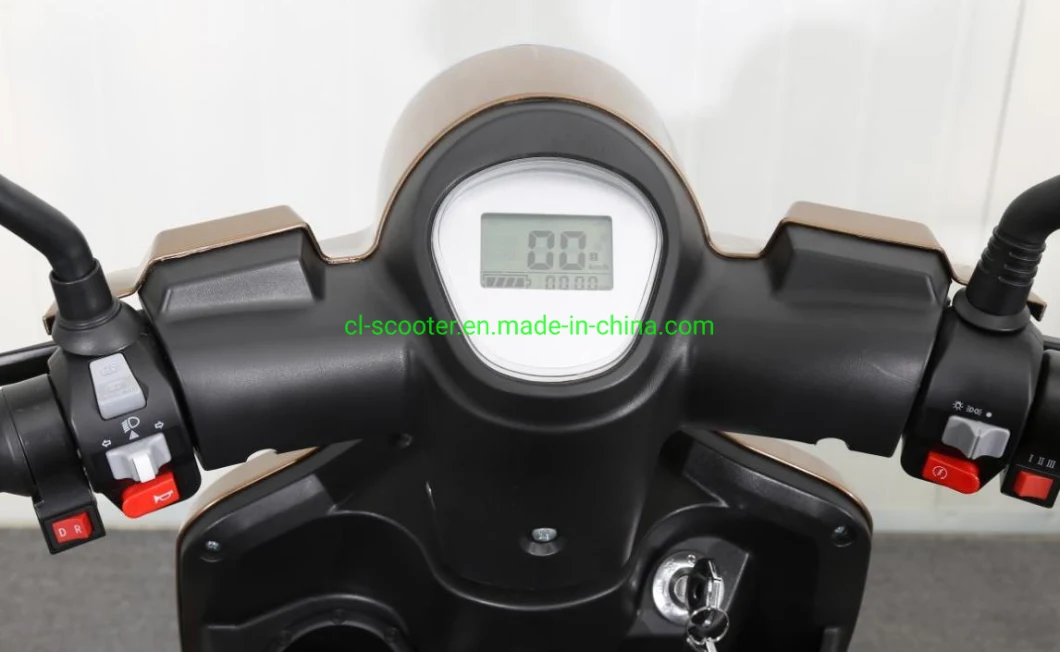 3wheel Scooter 1000W for The Adult with Max Speed at 25km/H