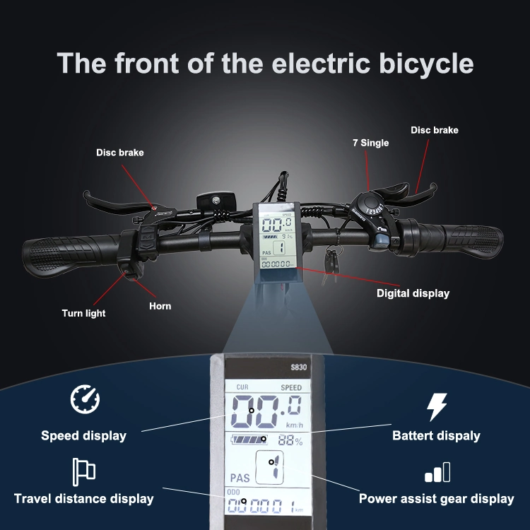 500W/750W Brushless Motor Ebike 25-30km Fat Tire Three Wheel Electric Bicycle