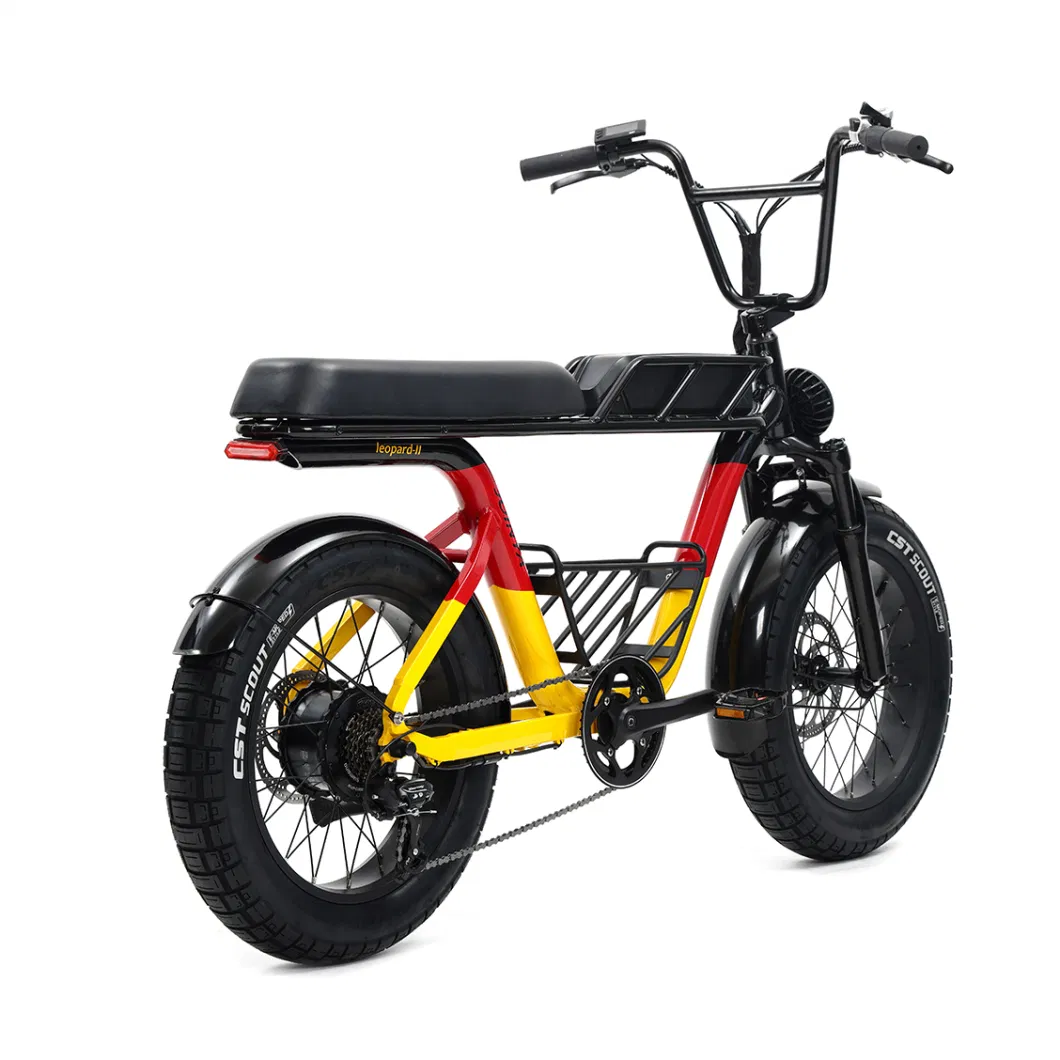 Luxury Sport Electric Fat Tyre Dirt Road Beach Moped Bike Ebike with Powerful Motor