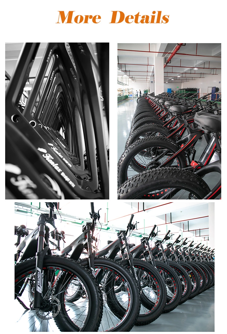 China Manufacturer Electronic Bikes 750W/1000W Carbon Fiber Fat Tire Electric Bike Mountain Electric Bicycle Cycle