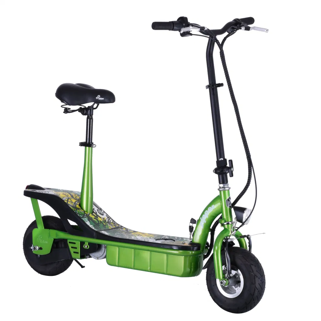 Popular Design 10&quot; Foldable Electric Scooter E-Bike with 24V 9ah 2021 New