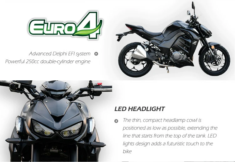 Wholesale EEC Euro-IV Eye-Catching Gasoline Motorbike with Double Cylinders