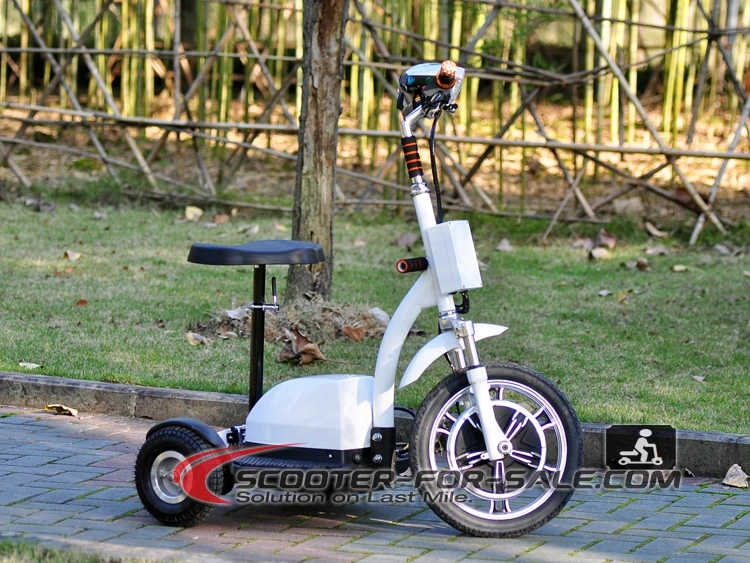 Buy 3 Wheel Electric Scooter for Adult Direct From China Factory