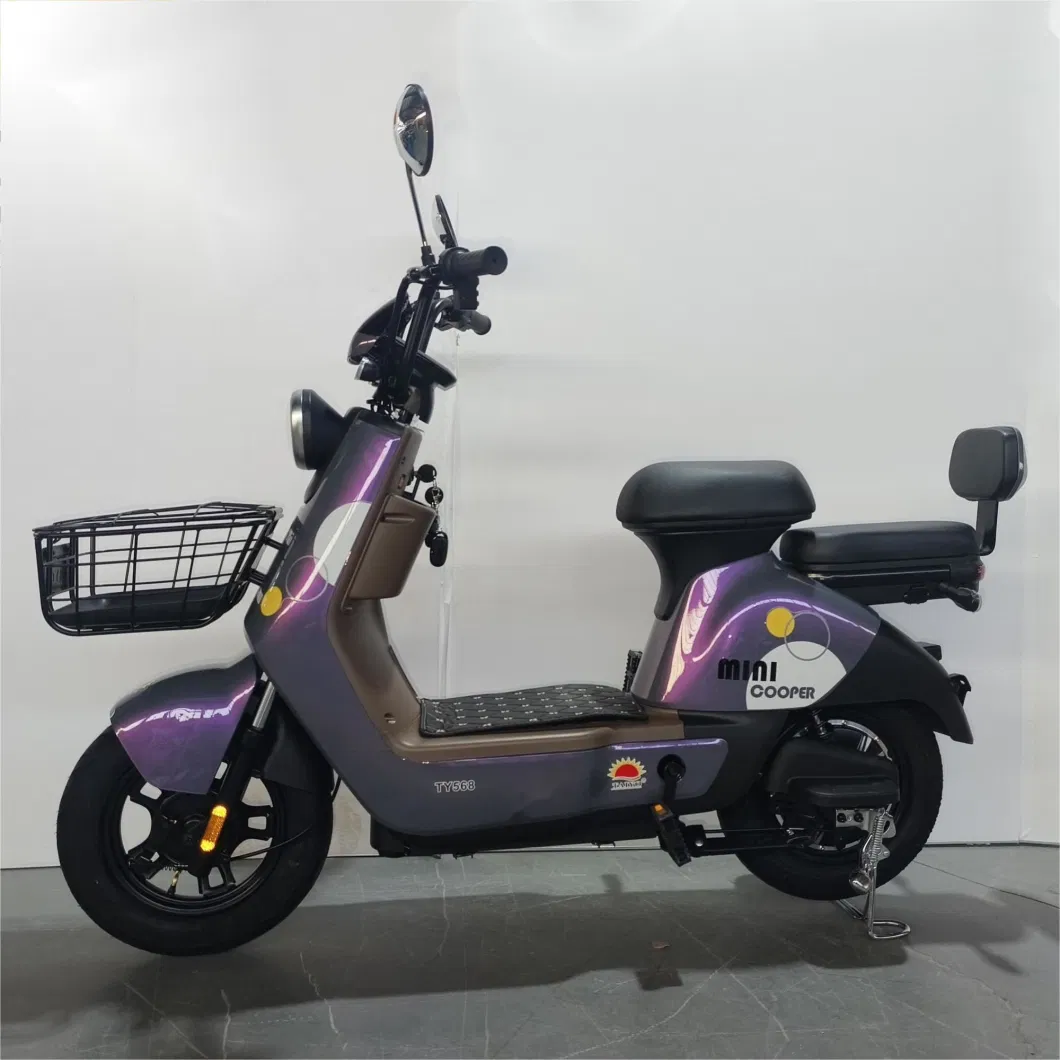 Willstar The Latest Electric Bike Ty568 with Chilwee Lead-Acid Battery Excellence Performance and Reliable and Durable Quality