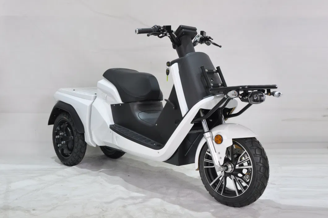 EEC Three Wheels Delivery/Cargo Electric Scooter with 70V50ah/100ah 45km/H Long Range