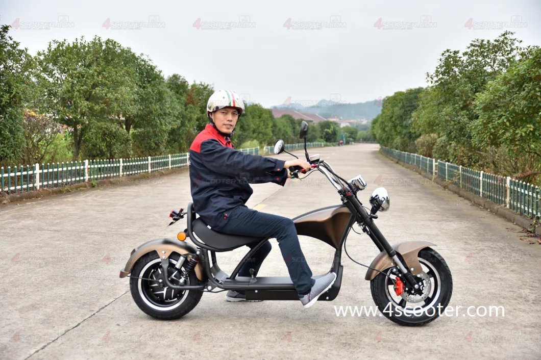 Hot Style Long Range 2000W Adult Street Electrical Scooter with Seat