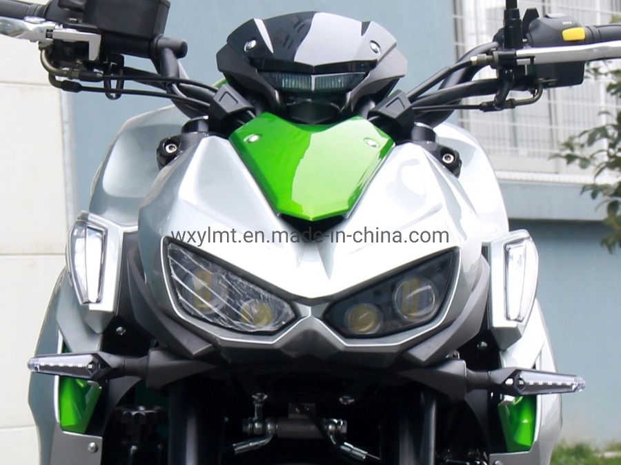 Street Motorcycle 200cc 250cc 400cc Gasoline Motorbike N19 Rzm250n-3 with Top Quality Motorbike Racing Motorcycle