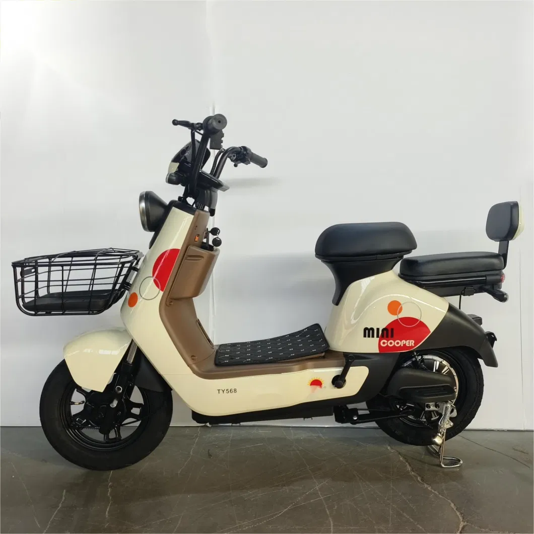 Willstar The Latest Electric Bike Ty568 with Chilwee Lead-Acid Battery Excellence Performance and Reliable and Durable Quality