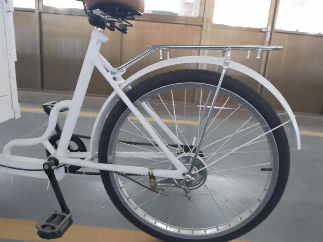 Hot Sell Refrigerated Bike with 220V AC Freezer Electric Ice Cream Motor Tricycle Three Wheeler Commercial Bicycle