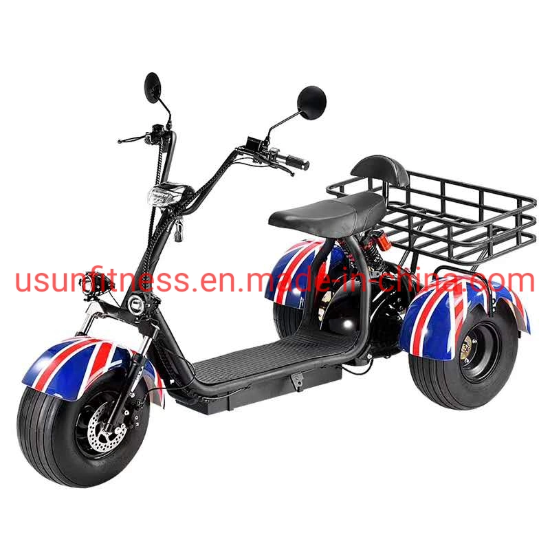 Farmer&prime; S Car Garden Cart Farmer&prime; S Tricycle Cargo Fat Tire Electric Scooter Motorcycle Bike Electric Tricycle Cargo Farmer&prime; S Car with CE