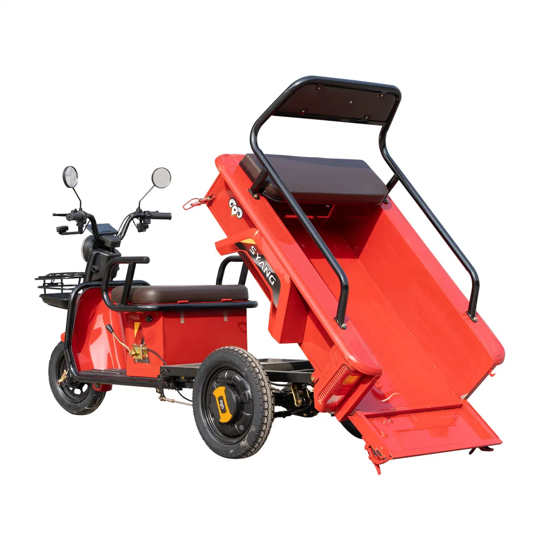 Electric Cargo Tricycle 1000W Electric Trike