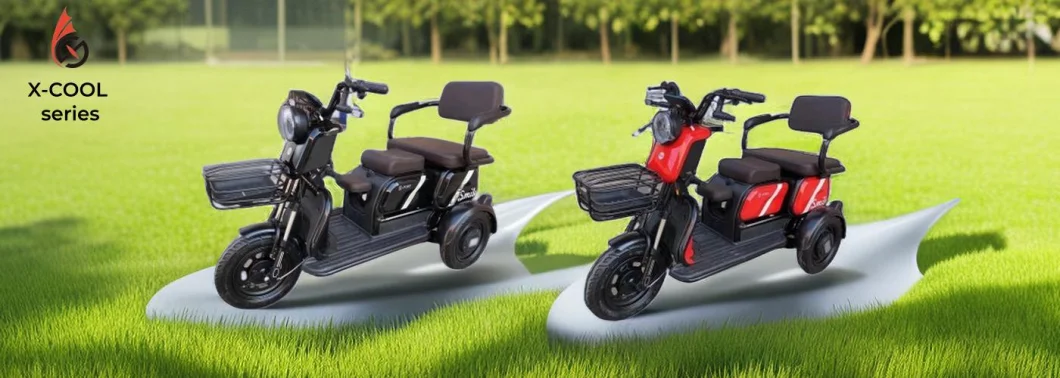 New Design Foldable Seats Motorized Tricycles Mobile Scooter Cargo Bike 3 Wheels Electric Bike Other Scooters for Edrly