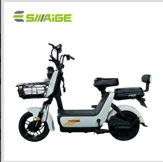 Saige Brand New Design Electric Bike for Canada and America Market
